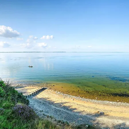 6 Person In Fur-by Traum